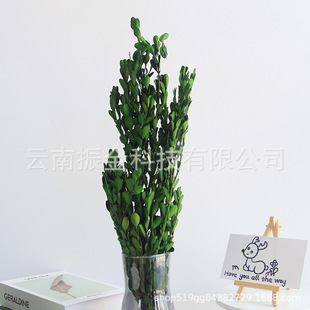 ���r������С�~�S��ĸɻ������f����ɭϵ�ֹ��b�DIY�Ĕz����