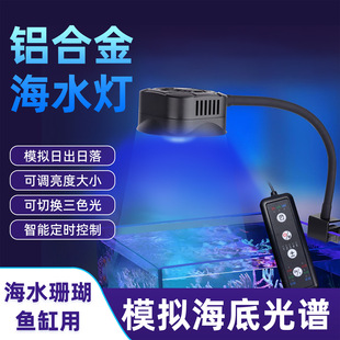 �羳ɺ��������V��UV���l�ɹ⵰�׸���͸�R����ɺ�����F؛���l