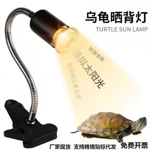 �羳�����񱳟�ȫ���V�����������̫ꖼӟ�����x����uvb�a�}��