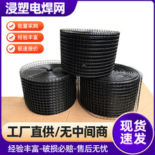 浸塑电焊网圈地网铁丝网厂家光伏防鸟网防鼠网 PVC浸塑镀锌铁丝网