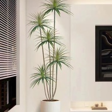 �p�ݷ���Gֲǧ��ľ�͏d�b�����ֲ������ٻ���Ѫ���҃���ؔ[��