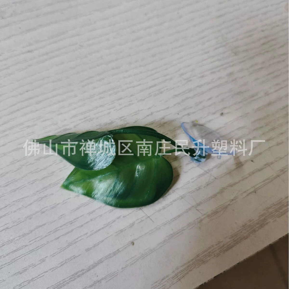 Листья отдыха для бетты