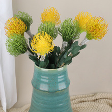 ����ᘉ|���F���Ҿ��b������ۻʻ����zᘉ|���ٻ��Gֲ�zӰ����