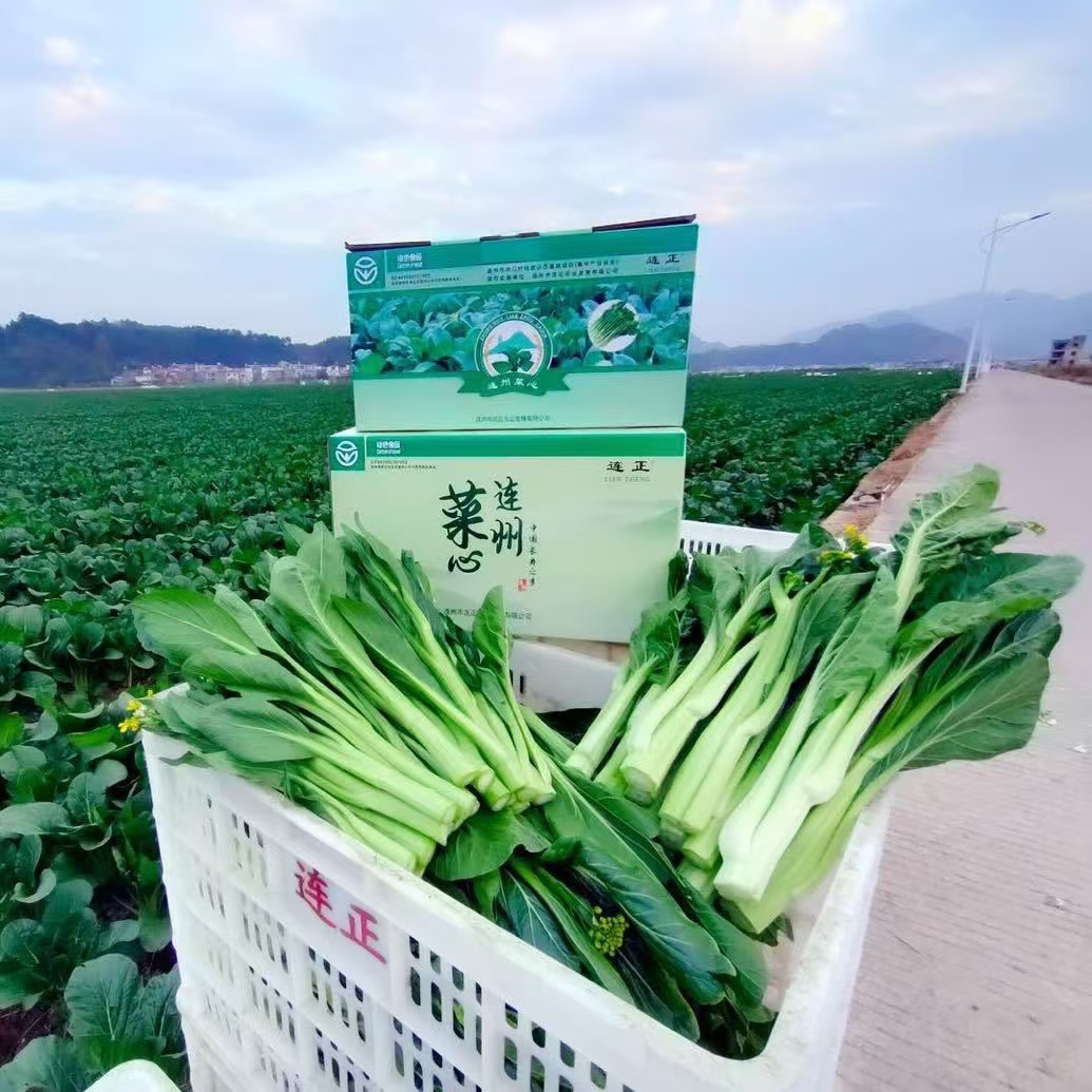 微信图片_20241025193311