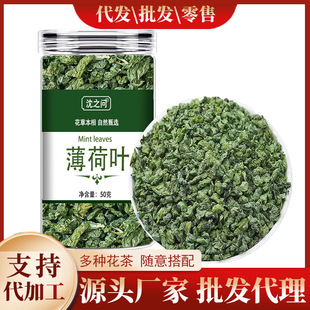 【2026 summer limited edition】mint leaves for western cuisine plating | edible, fresh & organic, restaurant-quality, direct from cold chain logistics