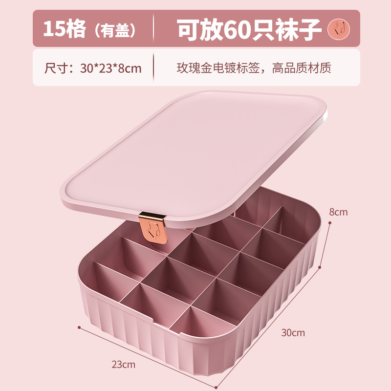 Caja Organizadora de Ropa Interior con Tapa de Plástico Con Compartimentos para el Hogar image 9