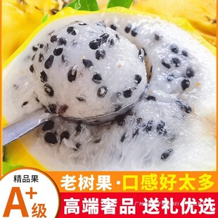 ��4����������S���\��������C�����rˮ���Y��������S������