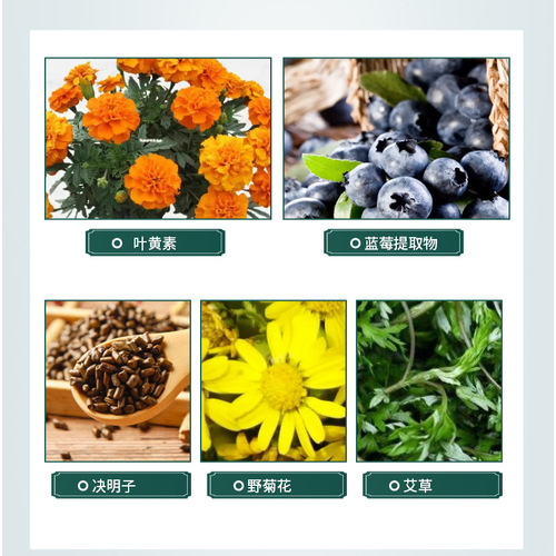 Guangzhou Baiyunshan Blueberry Lutein Eye Patch Eye Mask Patch Mugwort Eye Protection Liquid Wholesale Lutein Eye Mask Eye Patch