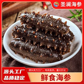 海参;水产干货类;干品/即食海参
