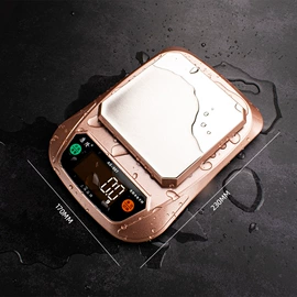 体重秤;厨房秤;健康秤