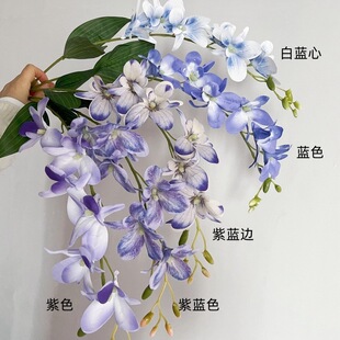 �¿�zӡС���m���滨�����m�ٻ���c�b������ҾӔ[�O�����m��