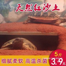 �S��ֱ�N��Ȼ�t������|�ļt�����tɳ���S���o�����S����������ɳ