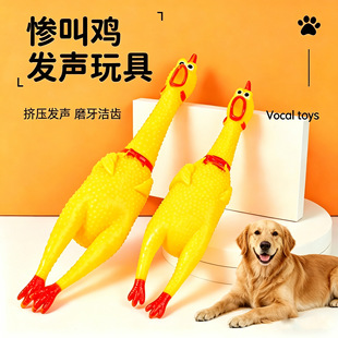 ���z������߼���u��ҧ����Ȯ���˽␞�lĥ��������߻�������