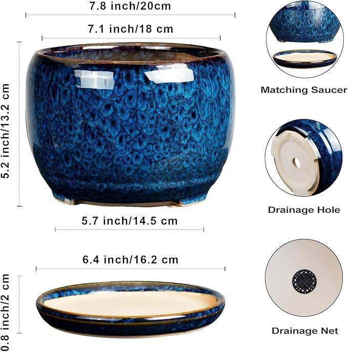 horno azul de cerámica mariposa orquídea verde plantación doméstica gran maceta decoración para el hogar con bandeja Amazon
