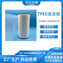 ΢ِ�²� ��ˮ�۰���TPEE͸��Ĥ �����ePTFEĤ �����ԏͺ�����Ĥ