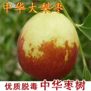 ���旗���ɗ������ϱ����N�������Ե��Ժ��B�׻�����z������