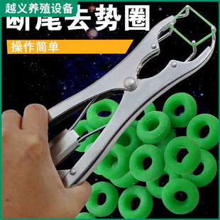 �S�ҹ����F�Ô�βȦ�i��Ͻ������U���QС�i��β�Qţ��oѪ ȥ��