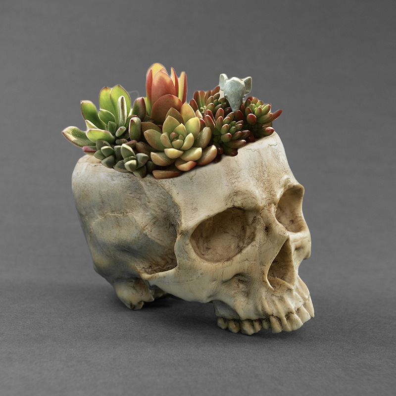 Decoración de cráneo de resina, película, props de disparo, maceta de flores, como cráneo de resina, maceta de flores pastorales de Halloween.