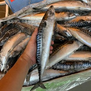 ����໨�~ 400-600��40��/�� Ų��ԭ�l�໨�~�����~