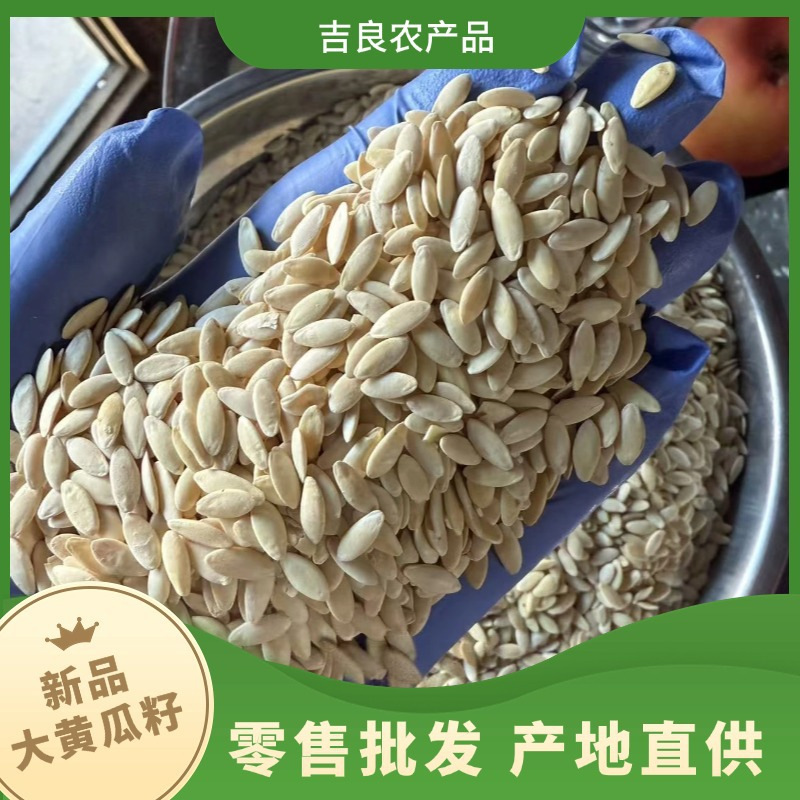 Large White Cucumber Seeds Huang Gua Zi 500g Hand Selected Raw Edible Seeds key features