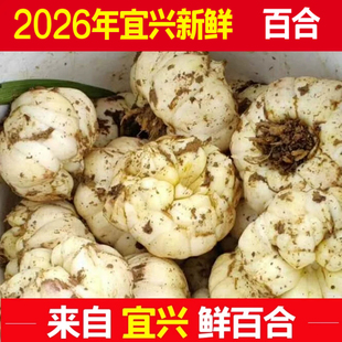 2026�����d�ٺ����rɽ�ٺ�ʳ��΢��Ŵ�o�����r