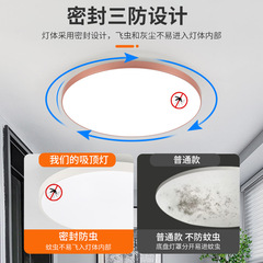 Ultra-thin minimalist three-in-one ceiling light for bedroom, hallway, LED corridor, entrance, balcony, garage, engineering lighting