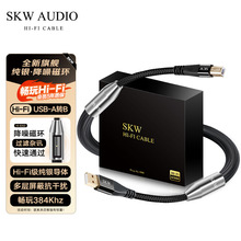 SKW ��Ş��USB-A�DB���l�� C�DB�����l�� ���y����DAC���a�� ���l