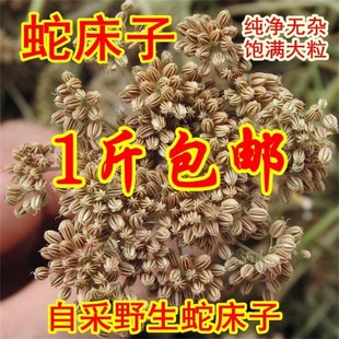 ��ș���ߴ����ߴ���500�����������ߴ����ߴ�������p�I����؛