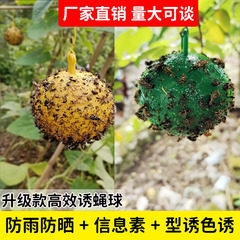 針蜂誘引ハエ球柑橘誘捕球果樹誘虫球柑橘瓜果実食ハエ球瓜果樹園粘虫球