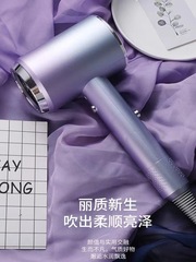 Superior Internet Celebrity Hair Dryer Household Appliances High-Power Hammer Blue Light Blow Dryer Gift Source Factory