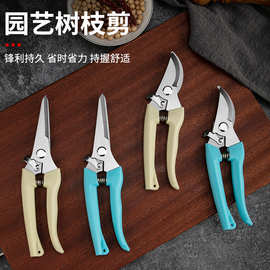 不锈林园艺树枝剪家用盘栽花艺果枝剪多功修摘果剪园林绿化修枝剪