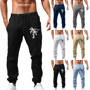 Casual Men's Japanese Cloth Pants Street Trendy Aliexpress Amazon Spring and Summer New 3D Digital Printing