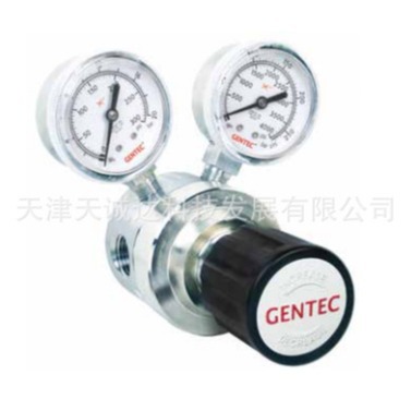 美国捷锐 GENTEC R15SL系列不锈钢中等流量减压器