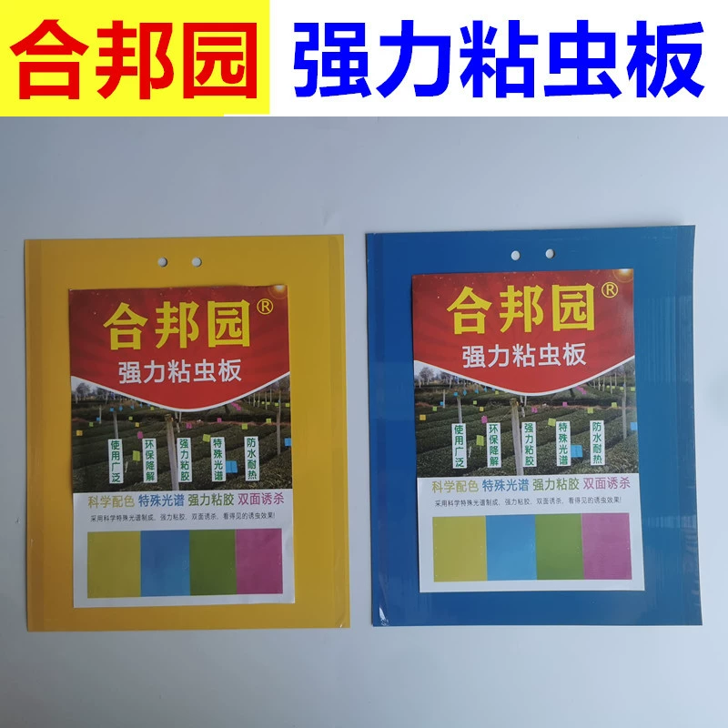 Липкая доска от насекомых Двусторонняя желтая доска Thrips Синяя доска Теплица Специальная липкая доска от насекомых Орчард Чайная садовая липкая доска Производители