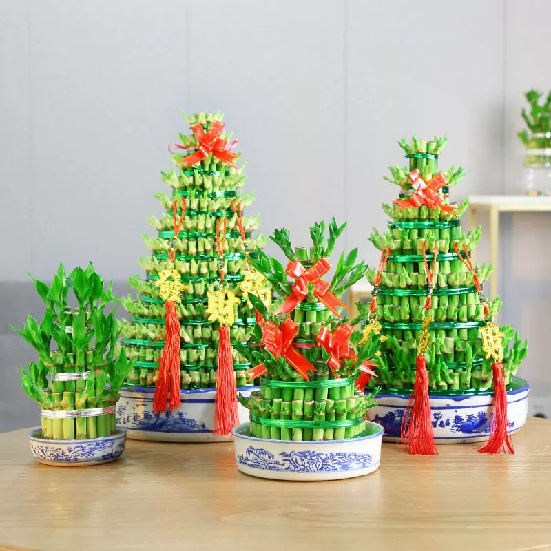 Богатый бамбуковый гидропонный комнатный горшок для цветов, бамбуковая башня, переносная удача, бамбук, офисная очистка воздуха