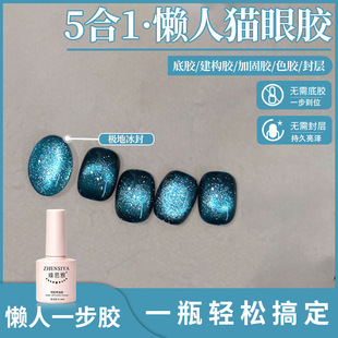�o����z���2026���¿��@��ָ���;W�t�����{ɫ������؈���z