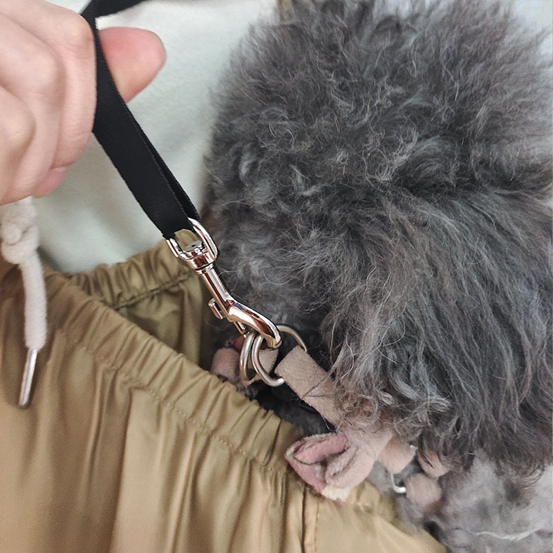 卸売りペットのリュックサック犬は旅行に出かけます。|undefined