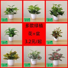 ����ֲ�������¾G�}�~��c�����b�˹�~���l�̈��G���٘侰�^��