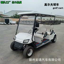 电动观光车;高尔夫球车;其他电动车