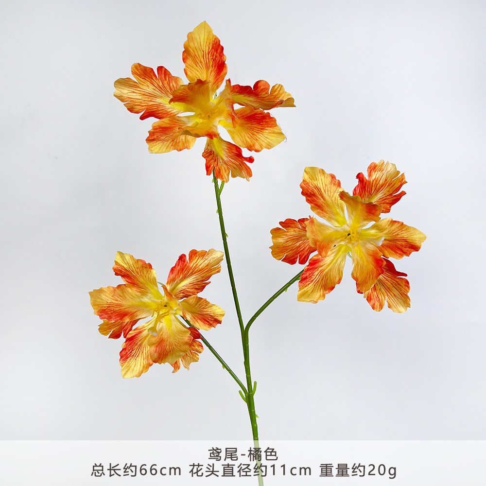 HT-鸢尾-橘色