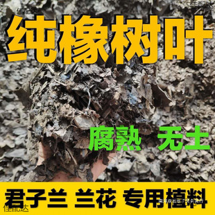 �l�ͼ�����~��ֳ�����~���m�������m���~�Nֲ�I�B�����ϰ��]