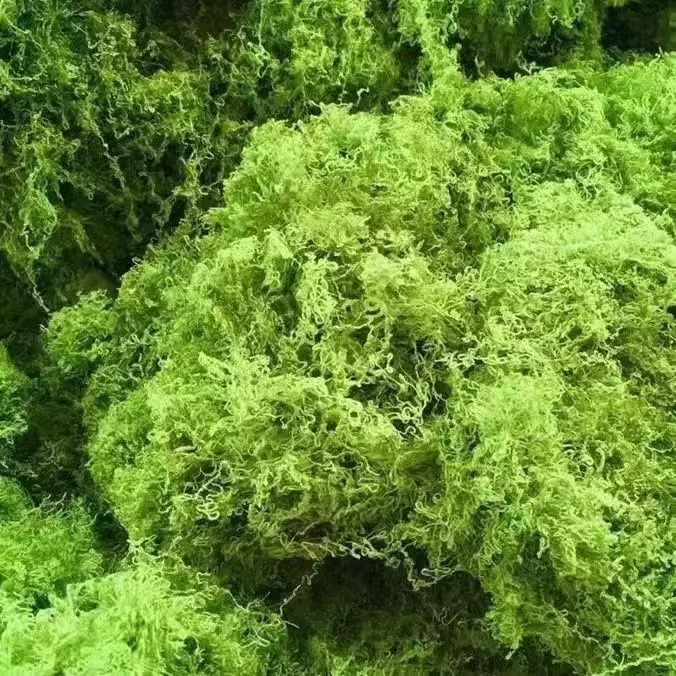 Simulación de césped de seda de musgo, paisaje de musgo biónico, plantas verdes, bonsai, pavimento de paisajismo, decoración de musgo falso, césped falso