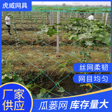 厂家供货植物爬藤网园艺网菊花网丝瓜苦瓜吊瓜瓜蒌网百香果攀爬网