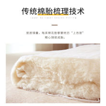 皇朝家私100%全棉春秋被学生宿舍冬被双人棉花被棉花胎纯棉被芯