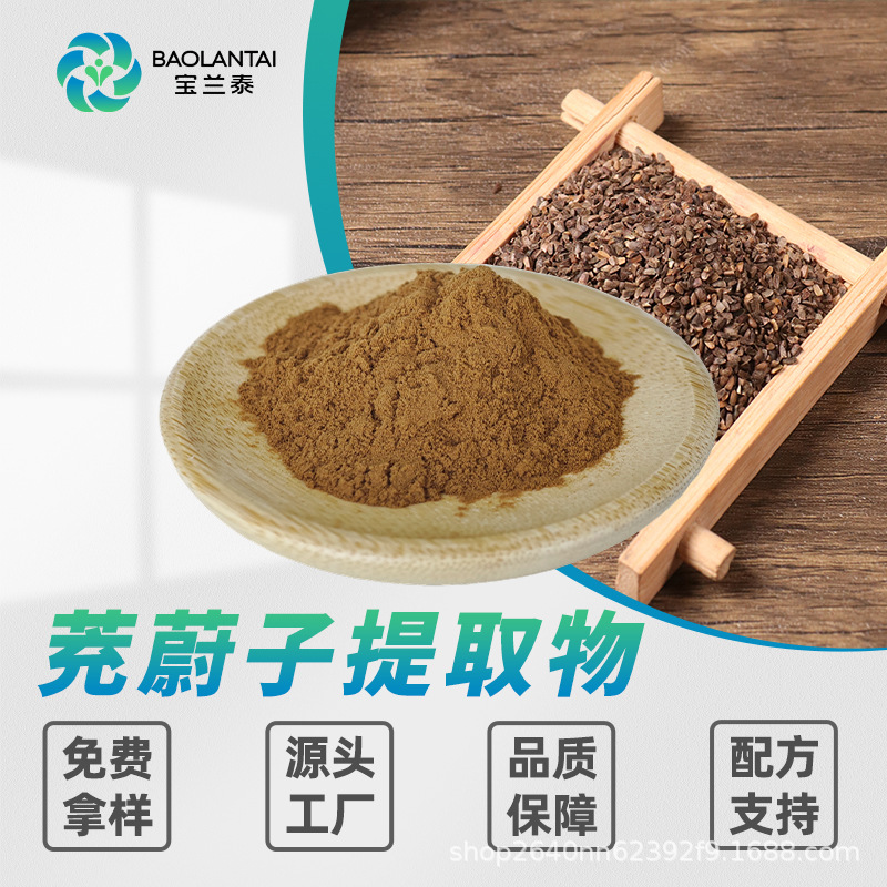茺蔚子提取物10:1食品级益母草籽提取物水溶茺蔚子粉功能食品原料