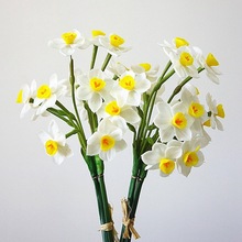 �ָ�ܛ�z��ˮ�ɻ����滨����ֲ��ˮ��ٻ��b�ֲ��͏d�[�Ż��ܽ�