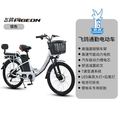 Variable Speed Leisure Pedal Scooter – Elektrikli motosikletlər - travel-24-inchbright-silversix-tube-controllerseven-speed-change-48v6aternary-lithium-batterya-grade-battery-cell