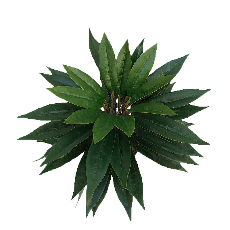 XRS-011 盆栽栲树叶 (5).jpg