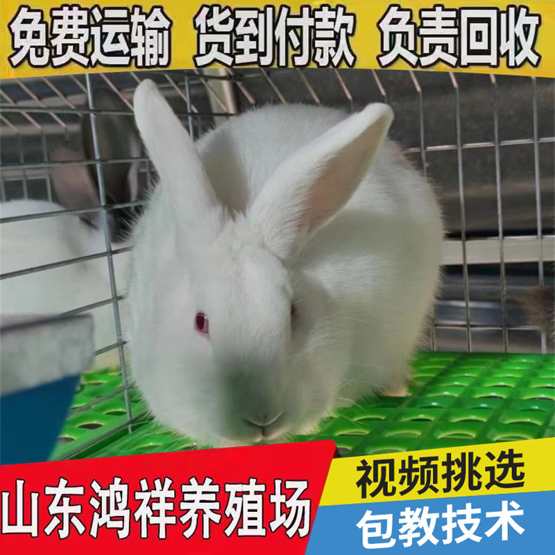 conew_u=4023916655,3873893458&