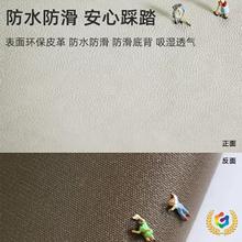 卡通進門地墊入戶門墊可擦免洗pvc室內耐臟腳墊子玄關入門口地毯